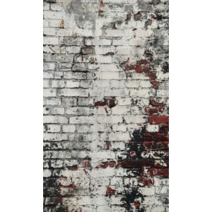 Fondo fotográfico de pared, panel cortina 160x265 cm pared vieja blanca