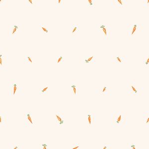 Tela de punto Takoy sin blanquear - zanahorias