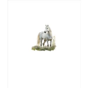 Tela de punto Takoy PANEL 50x60 caballos pintados blanco