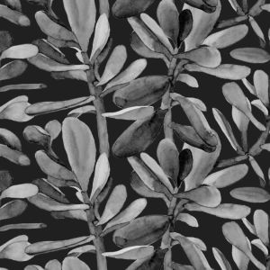 Chifón suave plisado/silky planta seculenta negro