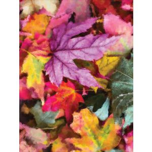 Tela de sudadera funcional perchada PANEL 74x100 cm pintura hojas coloridas