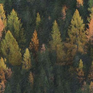 Tela de sudadera Milano 150 cm pintura bosque 